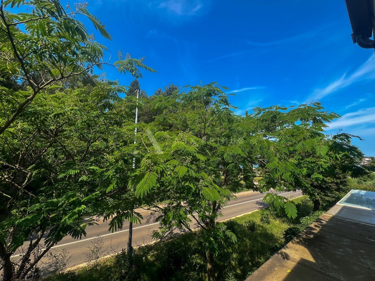 Stan na izvrsnoj poziciji, Zambratija, Umag