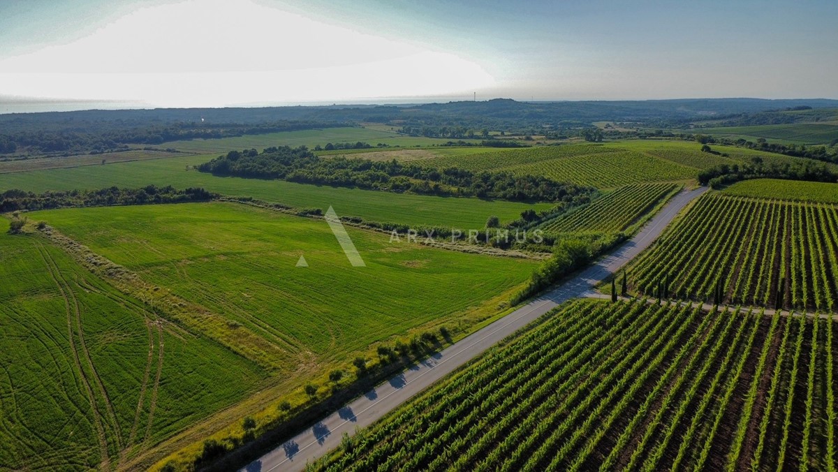 Terreno agricolo in posizione privilegiata, Buje