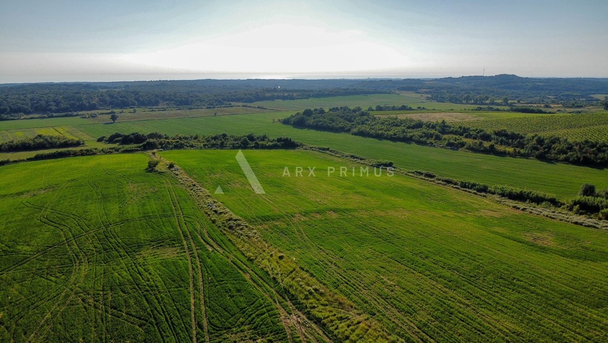 Terreno agricolo in posizione privilegiata, Buje