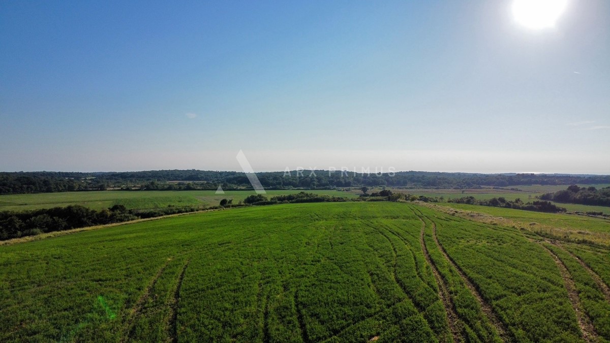 Terreno agricolo in posizione privilegiata, Buje