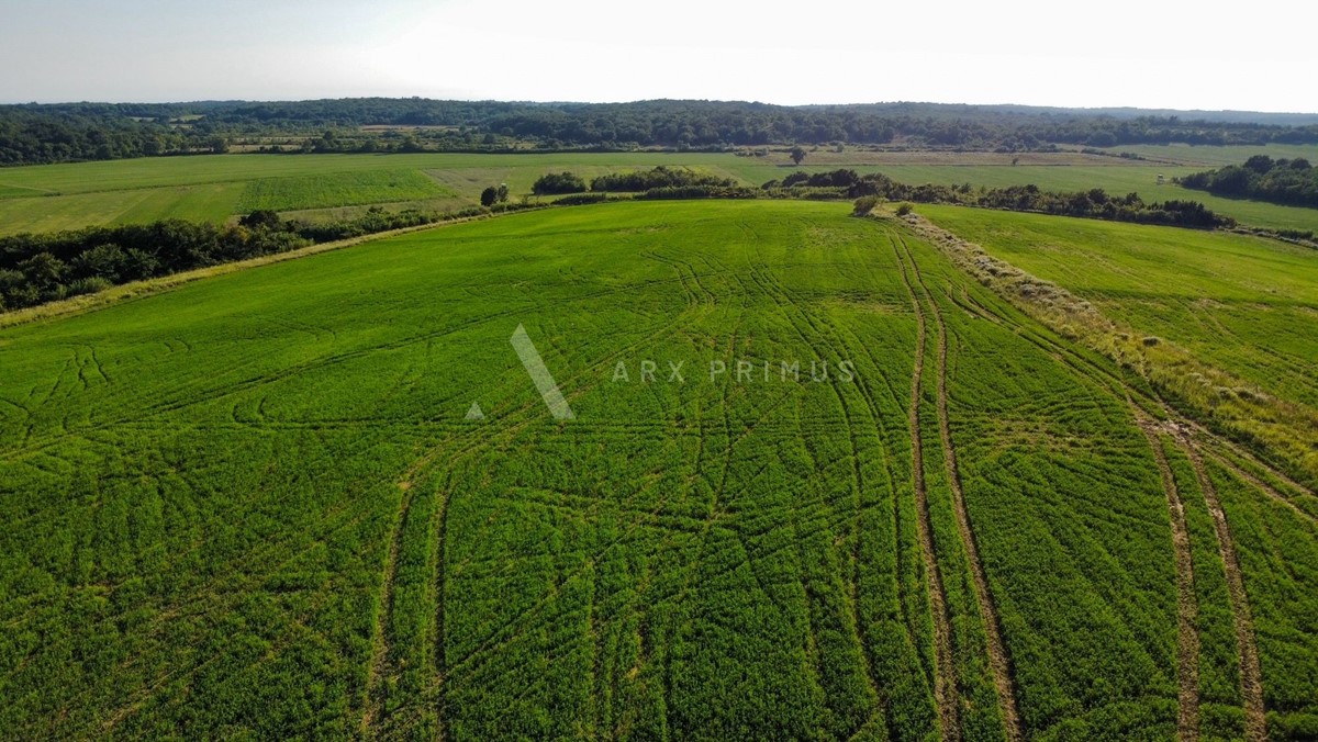 Terreno agricolo in posizione privilegiata, Buje