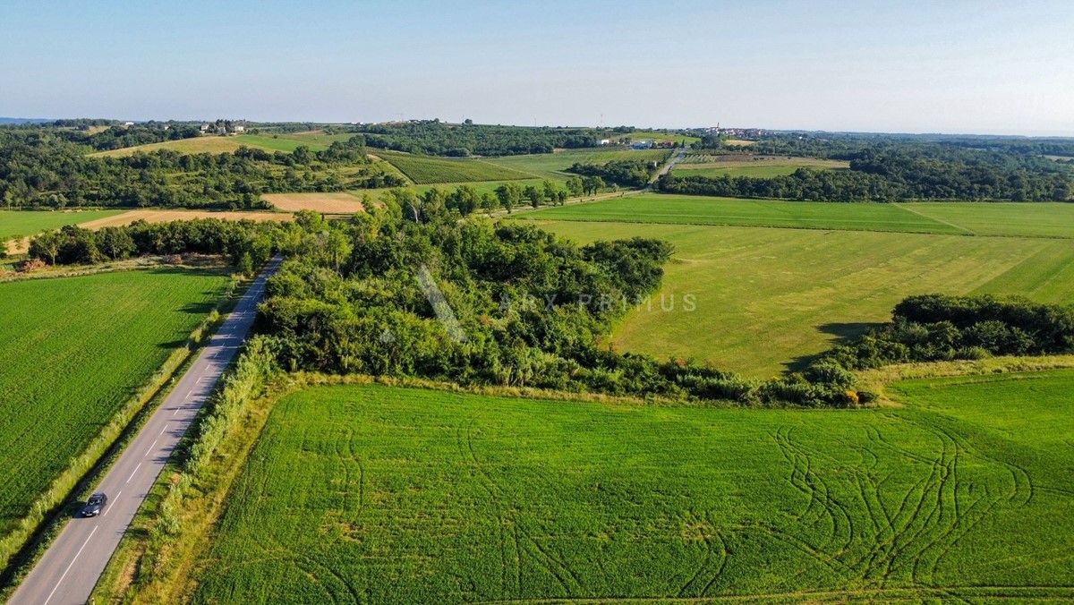 Terreno agricolo in posizione privilegiata, Buje