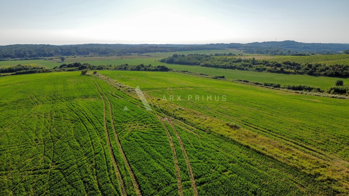 Terreno agricolo in posizione privilegiata, Buje