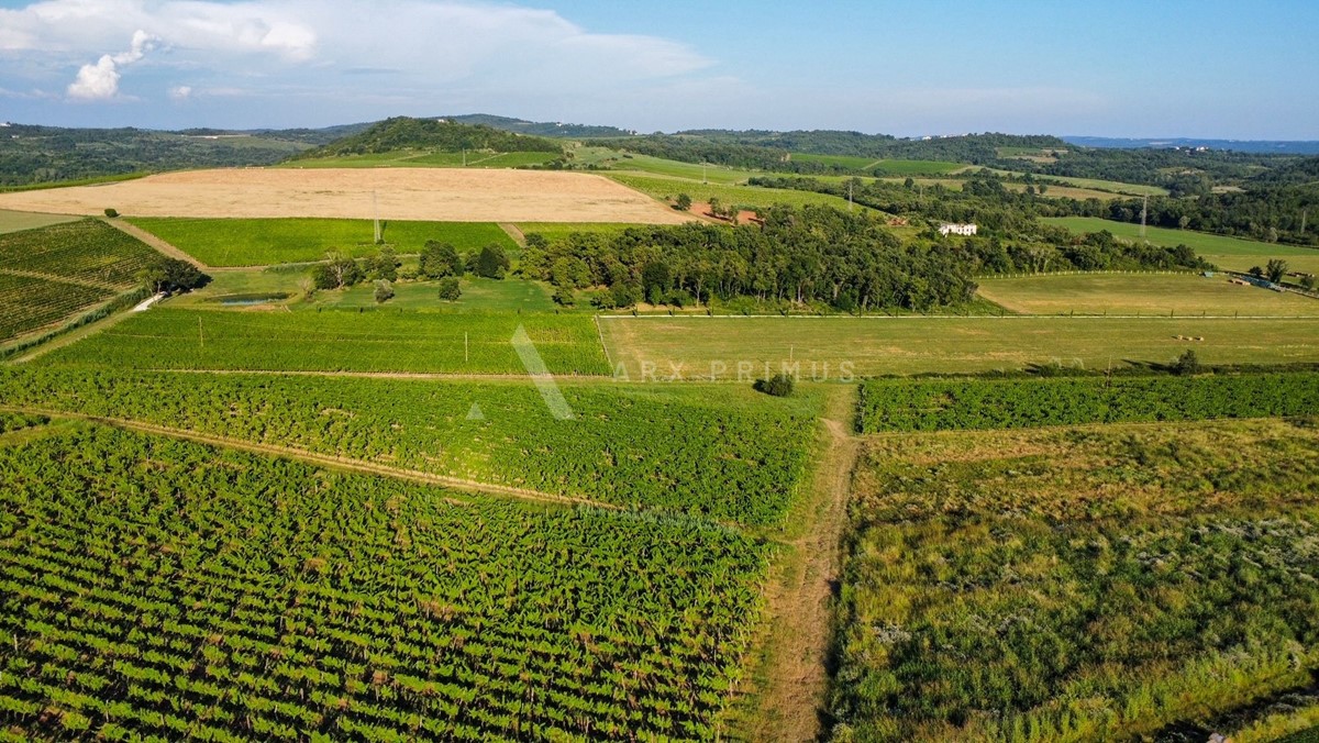 Terreno agricolo in posizione privilegiata, Buje