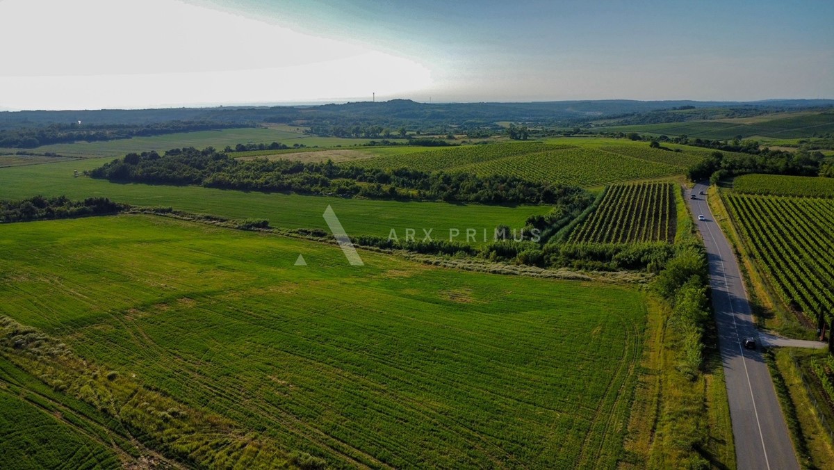 Terreno agricolo in posizione privilegiata, Buje