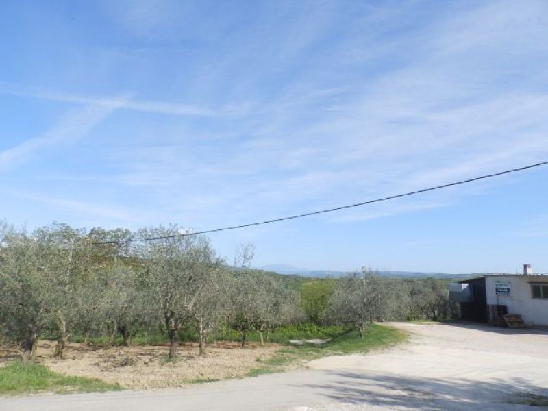 Vecchia casa di pietra istriana in Baredine, Buie