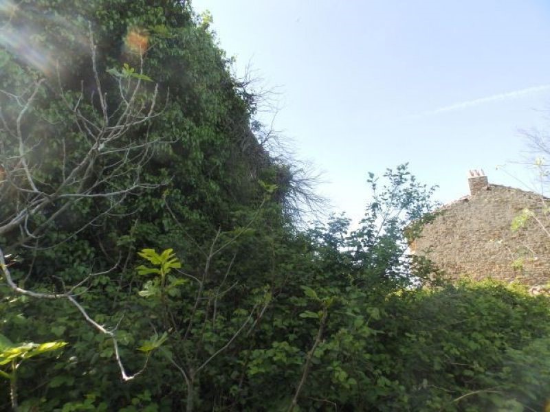 Vecchia casa di pietra istriana in Baredine, Buie