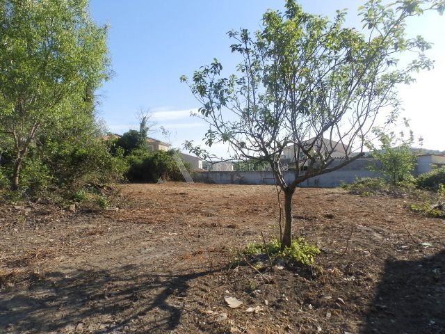 Stara istarska kamena kuća u Baredinama, Buje