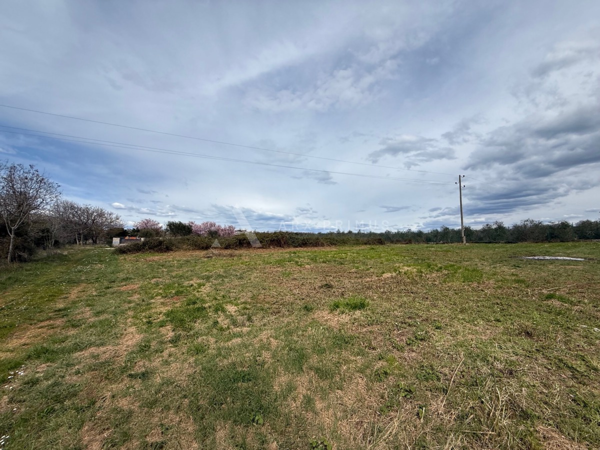 Terreno edificabile a Zambratija, perla dell'Istria
