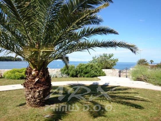 URBANA VILA S BAZENOM