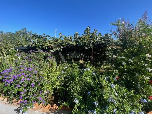 Samostojeća kuća na velikoj parceli okružena zelenilom, Finida, Umag