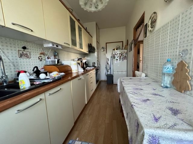 Samostojeća kuća na velikoj parceli okružena zelenilom, Finida, Umag