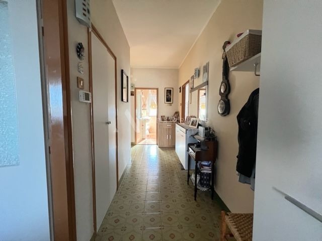 Samostojeća kuća na velikoj parceli okružena zelenilom, Finida, Umag