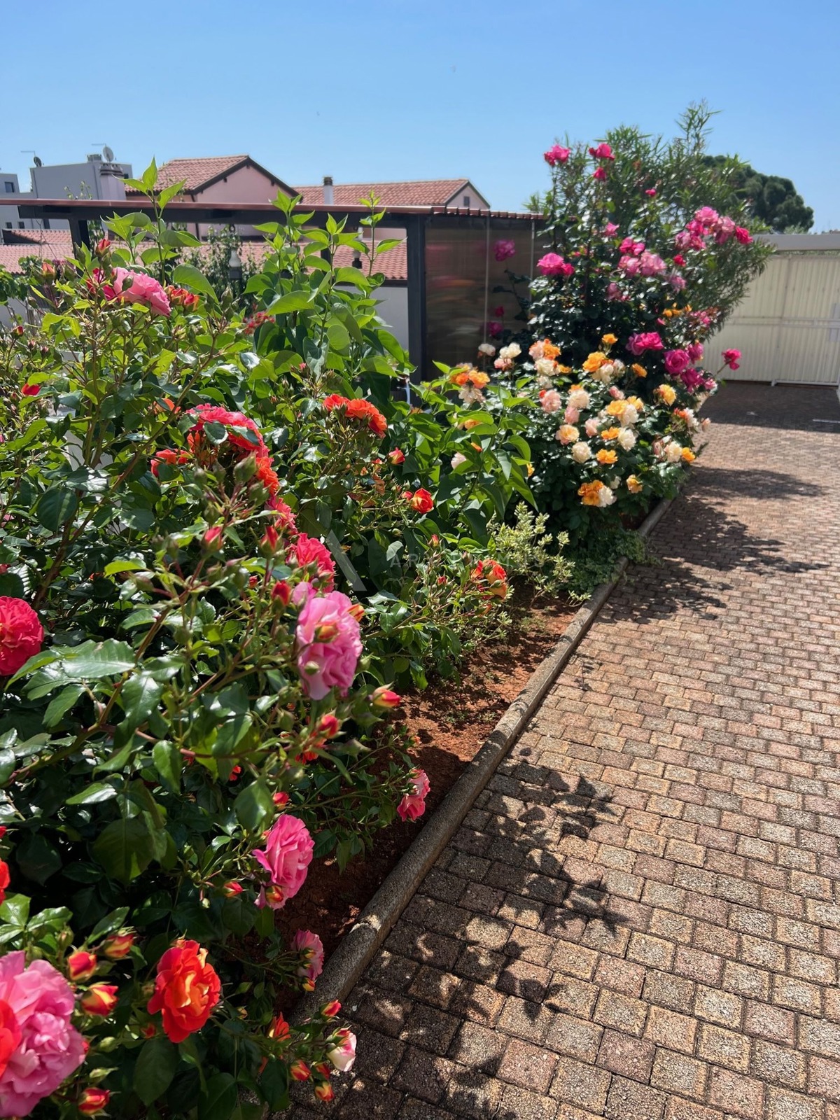 Stan s prekrasnim pogledom u Novigradu