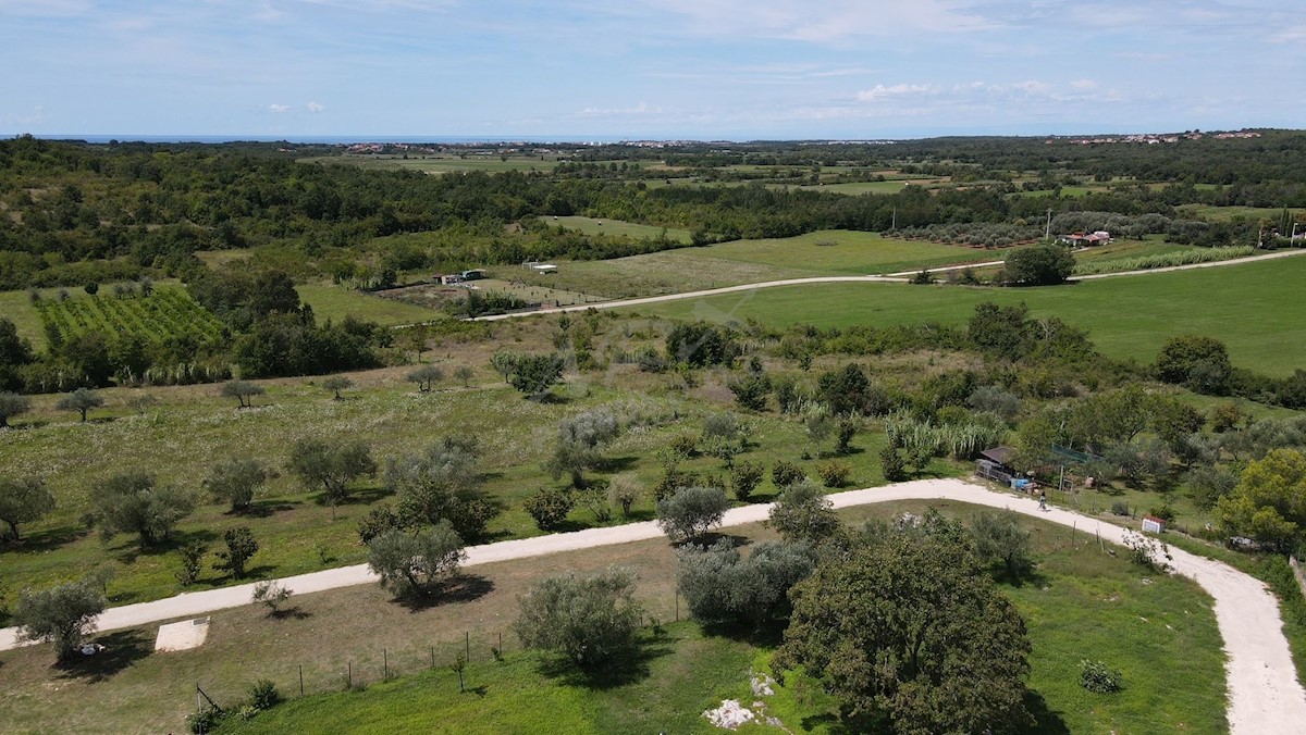 Una bellissima proprietà con vista su Umago e sul mare