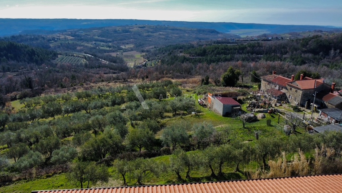 Villa moderna, Krasica, Buje