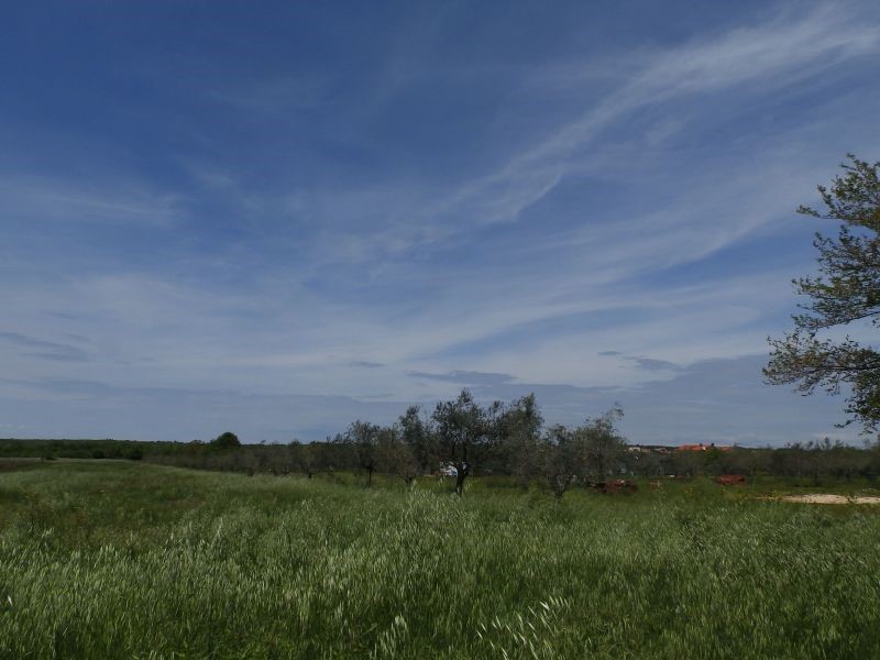 Terreno agricolo a Petrovija, Umago