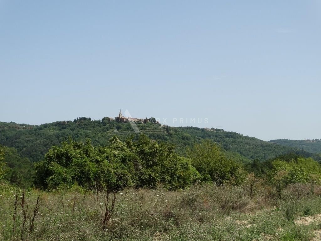 Stara istarska kuća sa velikom parcelom za izgradnju nove kuće