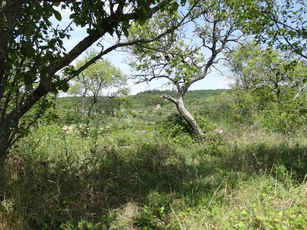 Stara istarska kuća sa velikom parcelom za izgradnju nove kuće