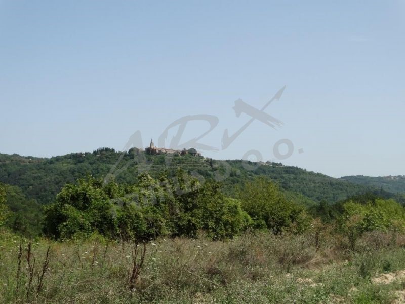 Vecchia casa istriana con un grande terreno per costruire una nuova casa