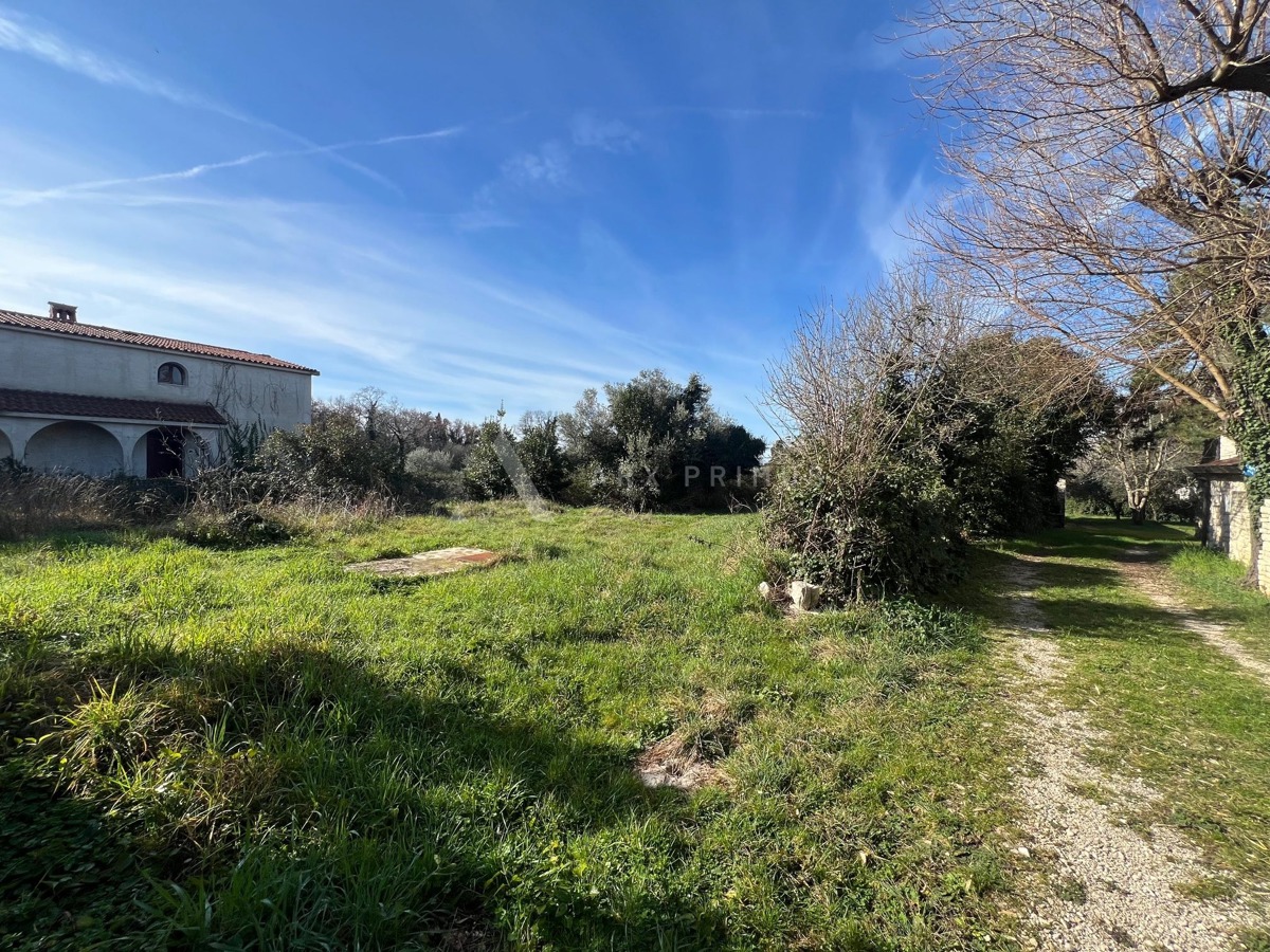 Velika kuća s pogledom na more, Đuba, Umag