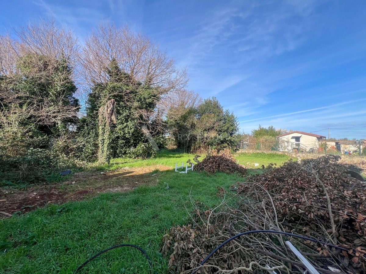 Velika kuća s pogledom na more, Đuba, Umag