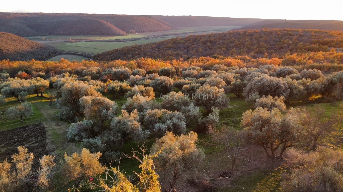 Građevinsko zemljište sa prekrasnim otvorenim pogledom