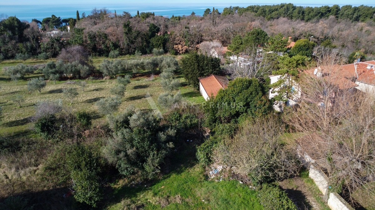 Građevinsko zemljište sa dozvolom za 3 kuće, Umag okolica