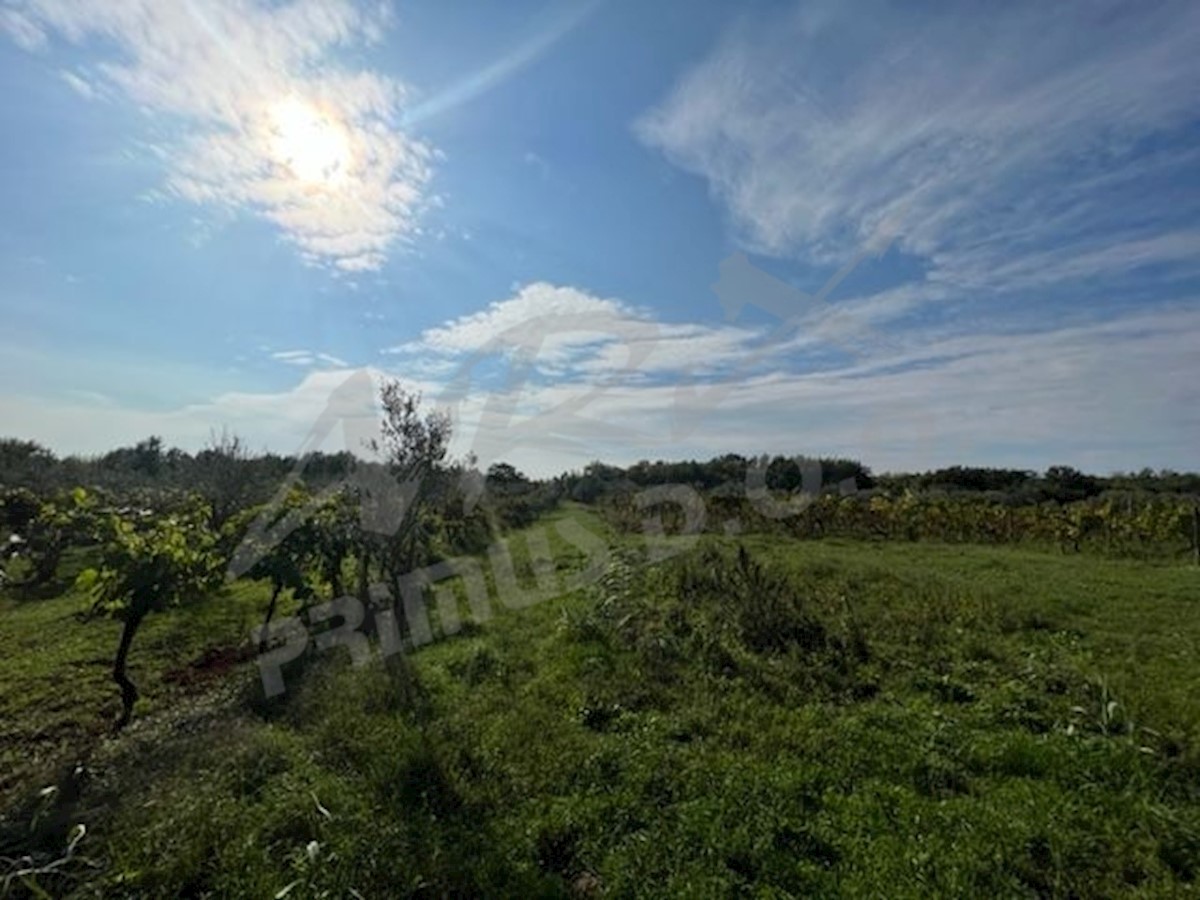 Terreno agricolo vicino a Verteneglio