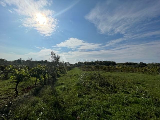 Poljoprivredno zemljište u blizini Brtonigle