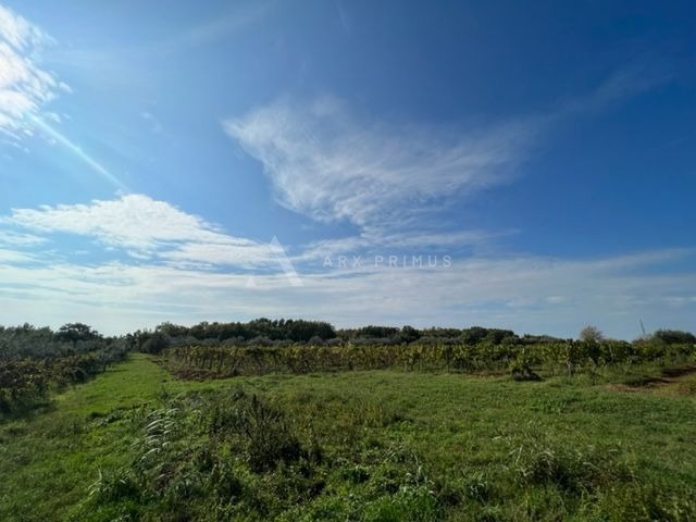 Poljoprivredno zemljište u blizini Brtonigle