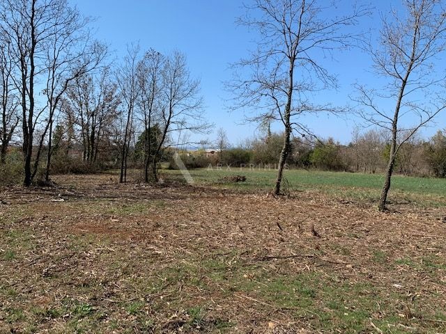 Građevinsko zemljište u Lovrečici, Umag