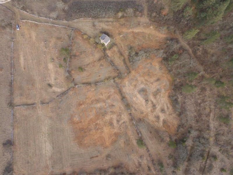 Terreno edificabile con vecchia casa istriana, Marusici, Buje