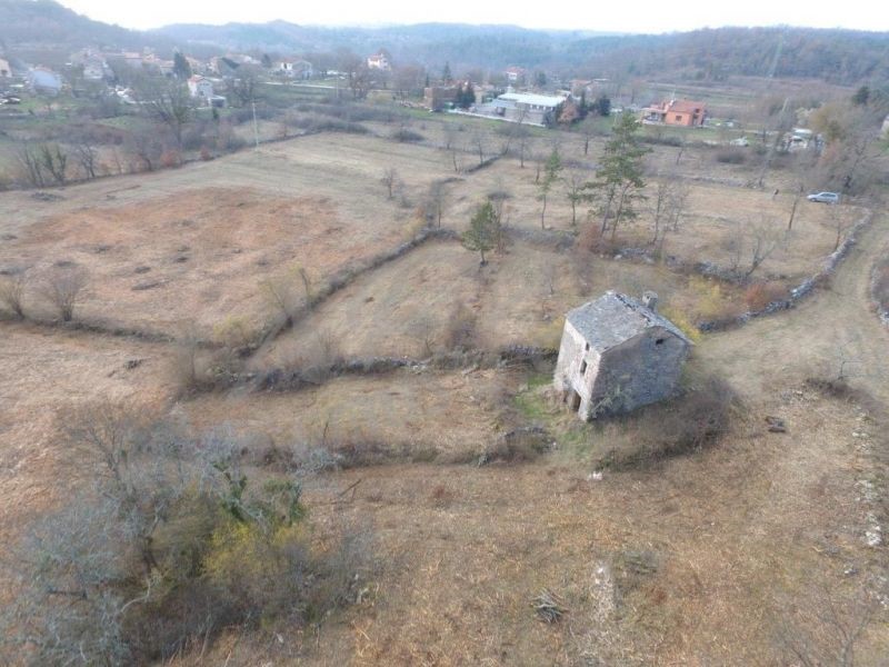 Terreno edificabile con vecchia casa istriana, Marusici, Buje