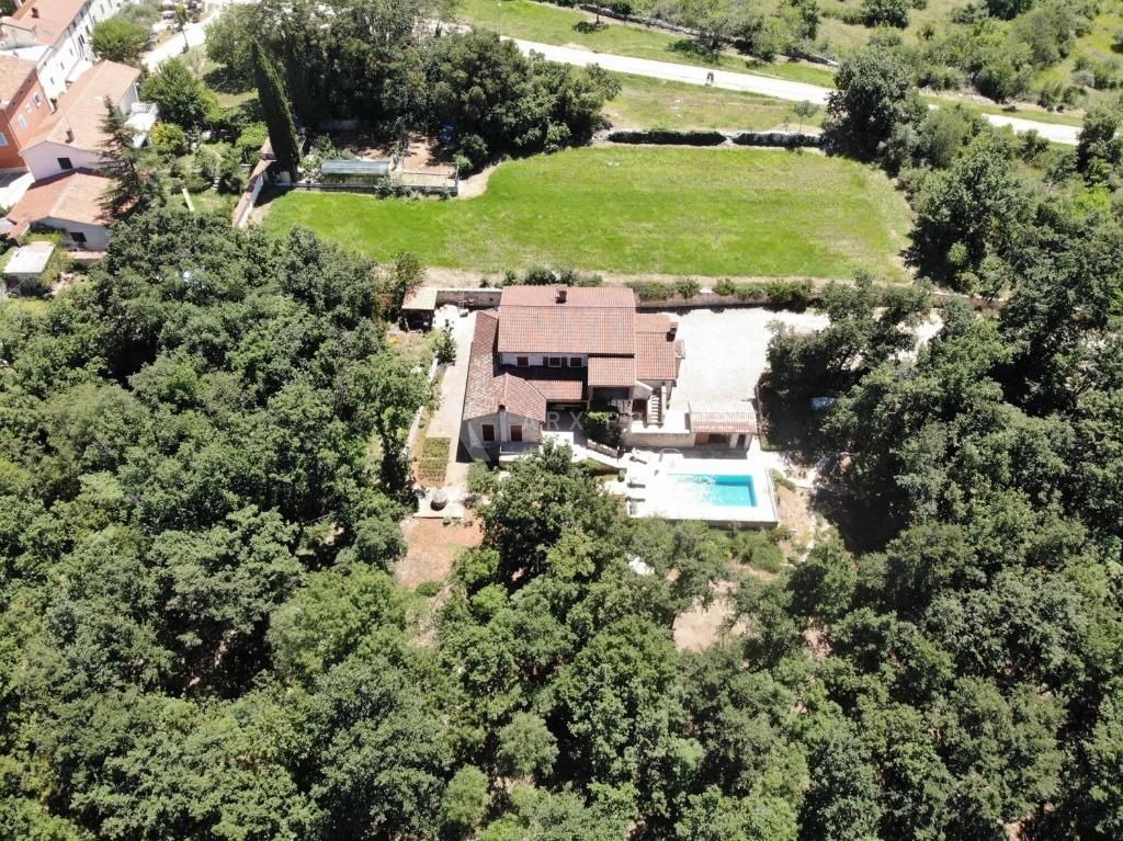 Prekrasna vila okružena šumom