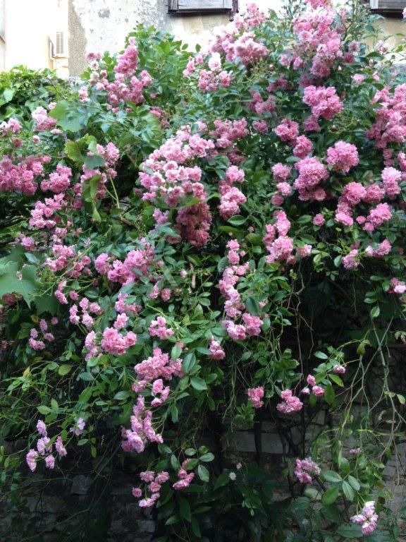 Zgrada u Puli na odličnoj lokaciji