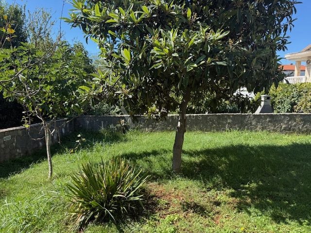 Odličan stan u Zambratiji blizu mora