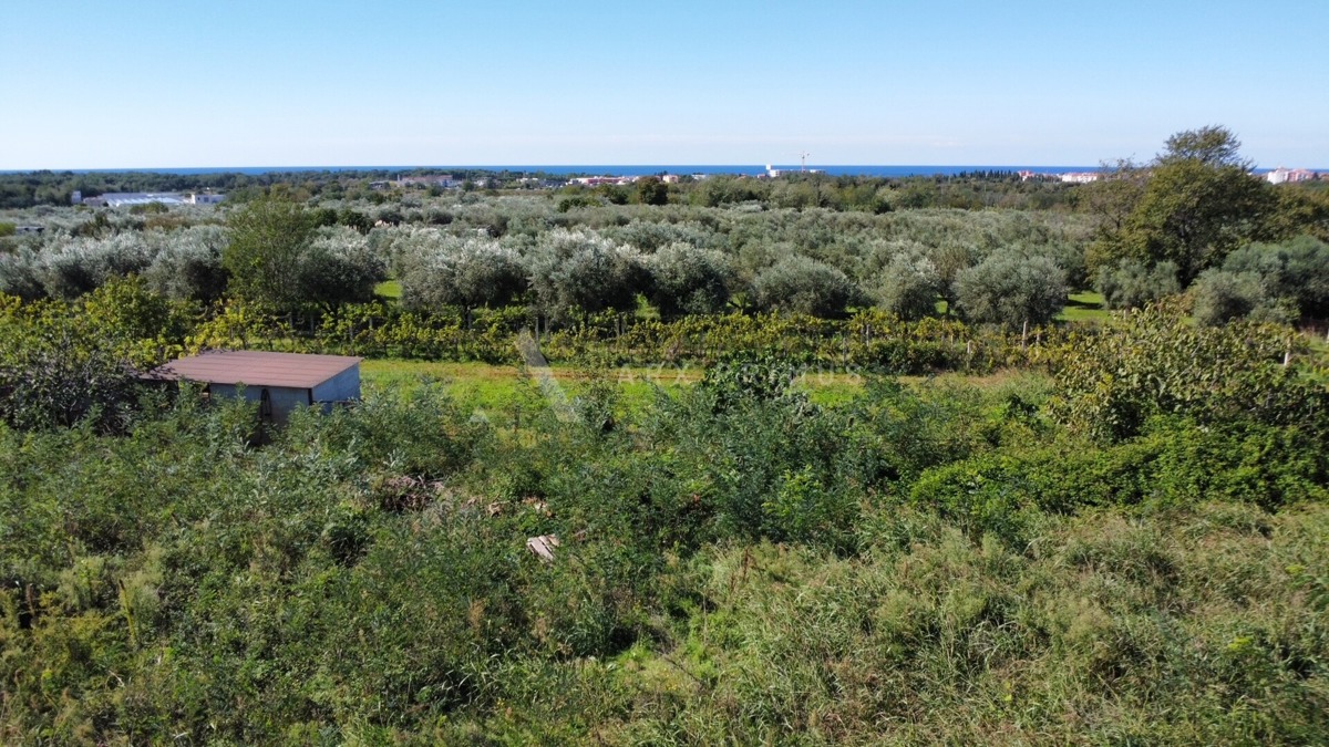 Terreno con permesso di costruzione per una casa bifamiliare, Finida, Umago