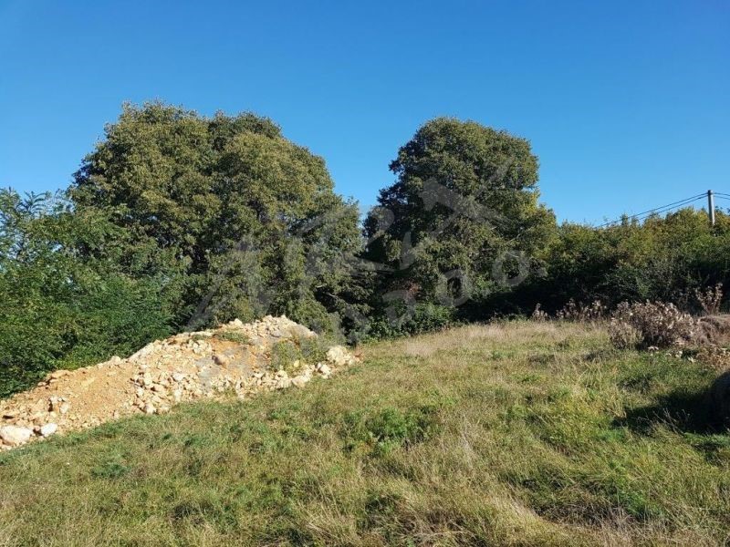 Terreno edificabile per due ville in pietra per il turismo esclusivo