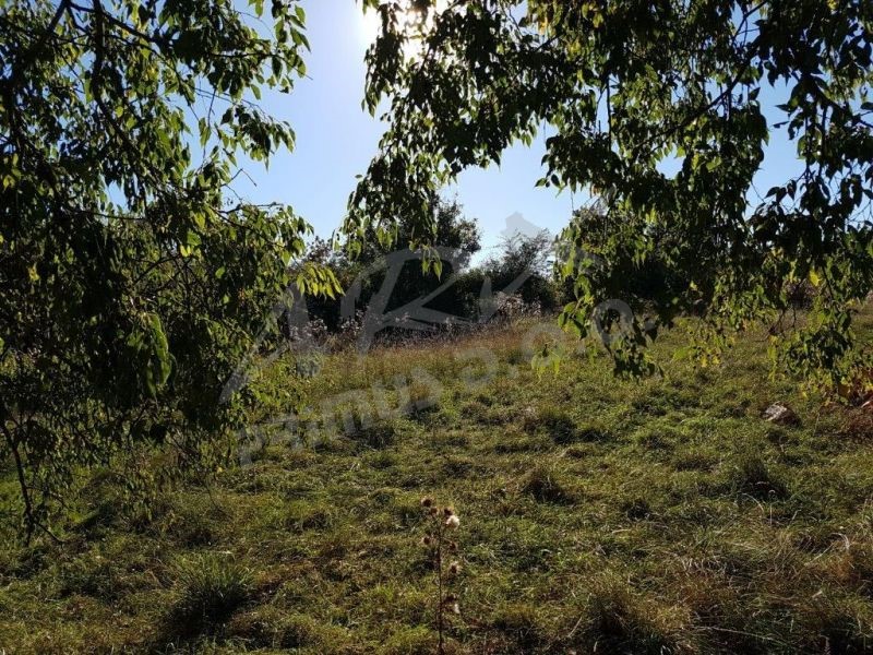 Terreno edificabile per due ville in pietra per il turismo esclusivo