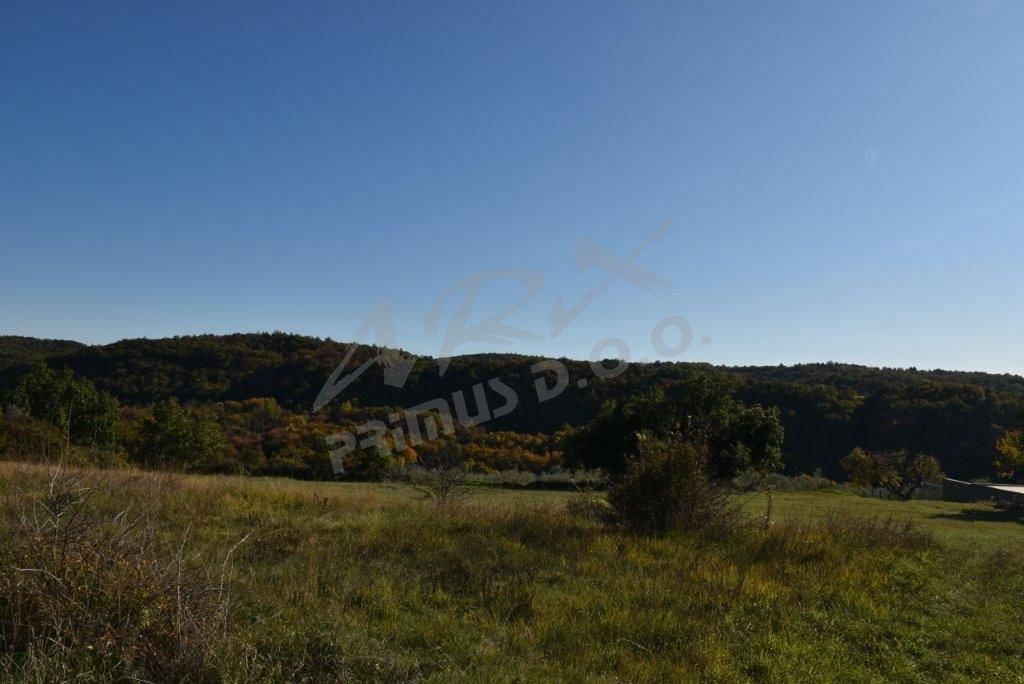 Terreno edificabile a Oskoruš, Buje