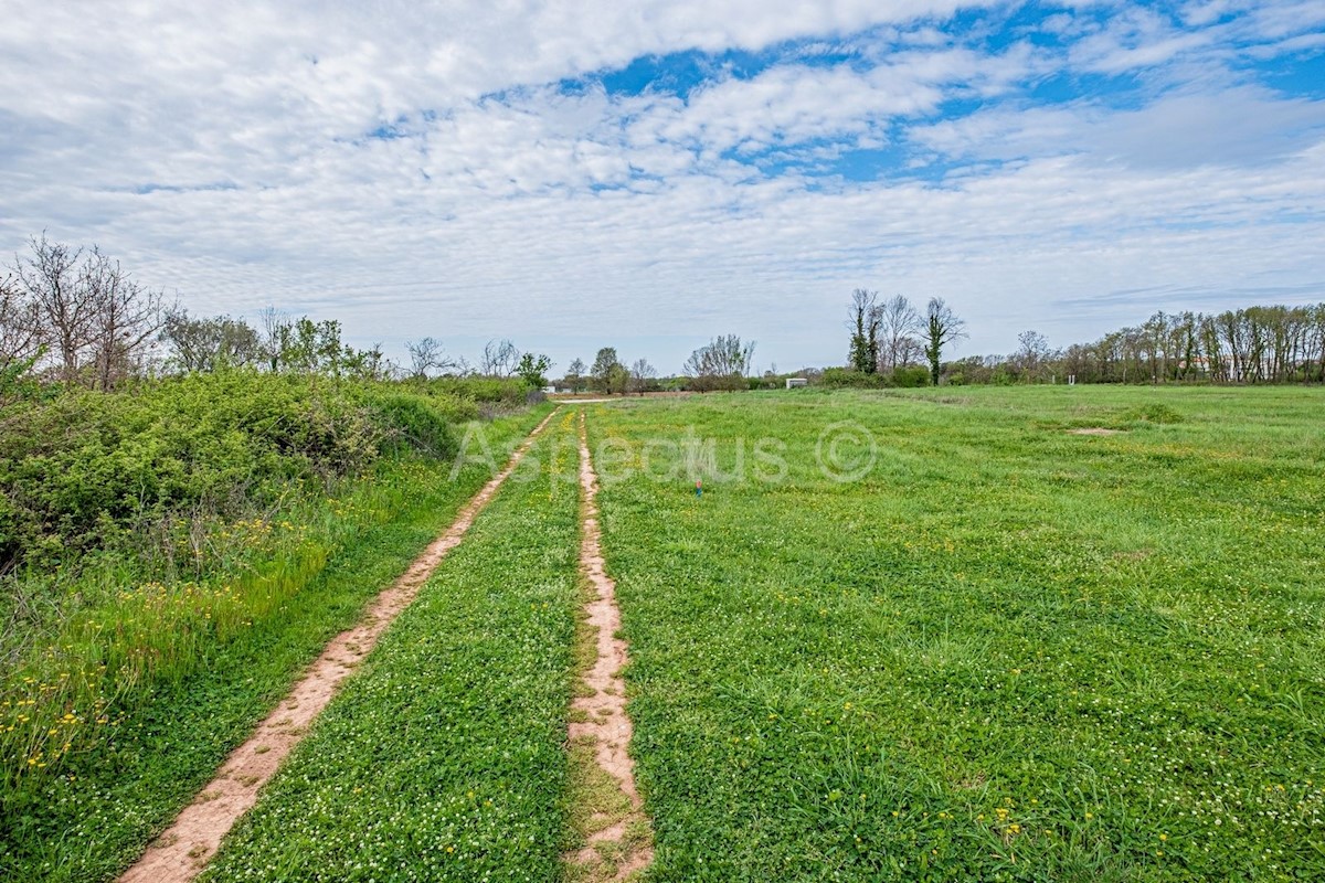 Terreno edificabile + terreno agricolo, Loborika, Istria