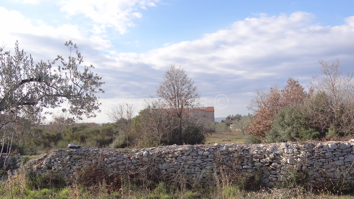 Maslinik, zemljište 2002m2 uz građevinsko područje, Peroj