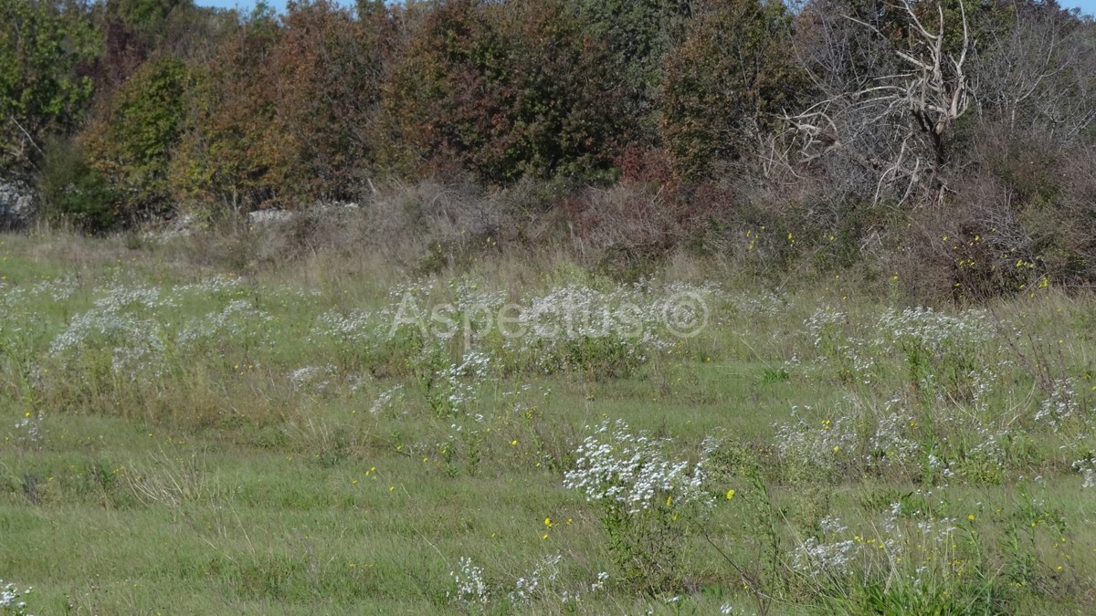 Vodnjan, poljoprivredno zemljište 3676m2