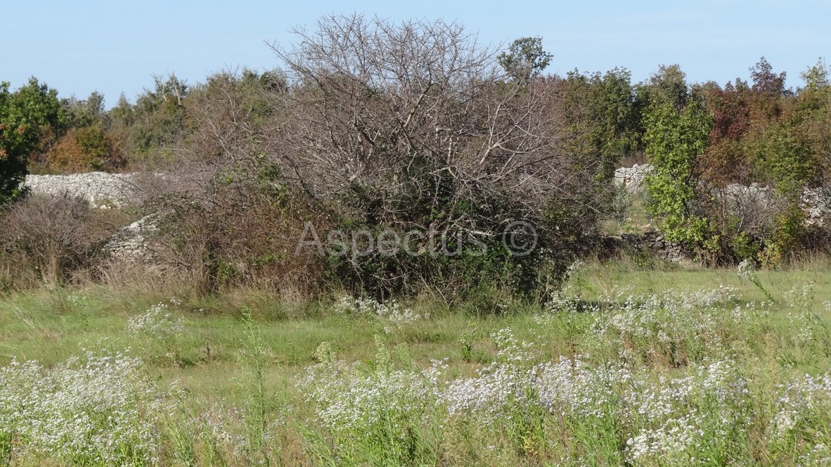 Vodnjan, poljoprivredno zemljište 3676m2