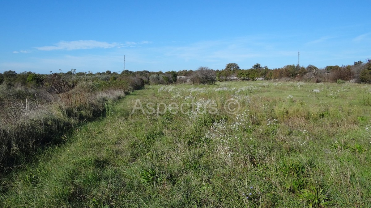 Vodnjan, poljoprivredno zemljište 3676m2