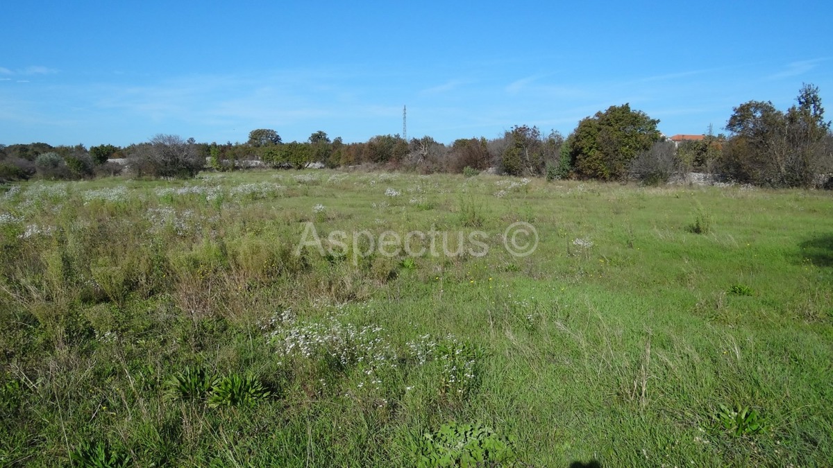 Vodnjan, poljoprivredno zemljište 3676m2