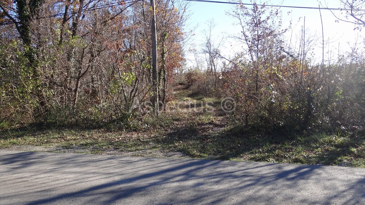 Vodnjan-Divšići poljoprivredno zemljište 50 000m2