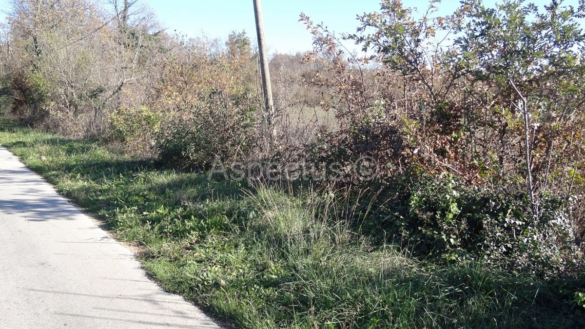 Vodnjan-Divšići poljoprivredno zemljište 50 000m2