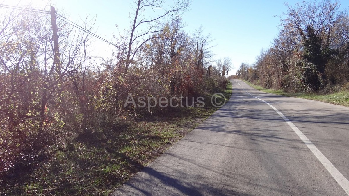 Vodnjan-Divšići poljoprivredno zemljište 50 000m2